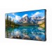 Профессиональный дисплей для видеостен Philips 49BDL2105X/00