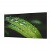 Профессиональный дисплей для видеостен Dahua Technology DHI-LS550UDM-UF